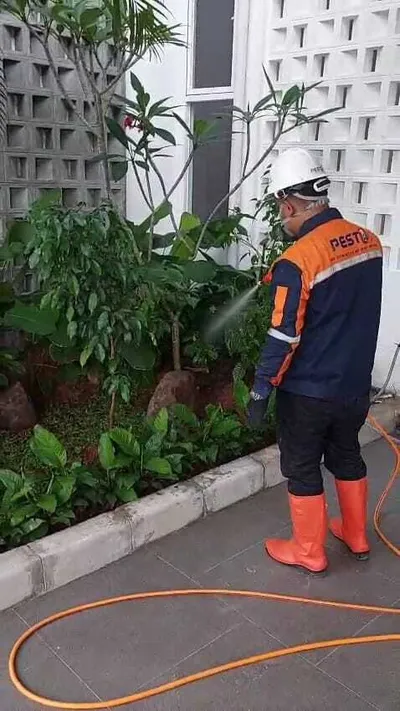 Penyemprotan Pestisida