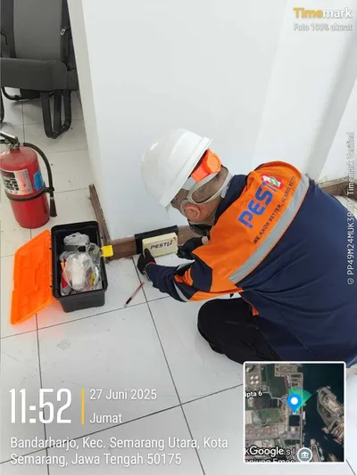 Termite Baiting System