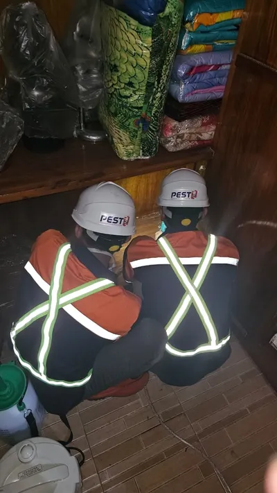 Pengecekan Rayap Residensial