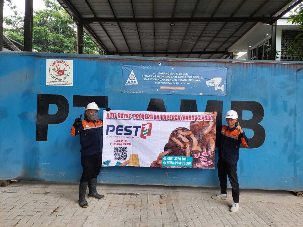 Tim PEST01 profesional berdiskusi