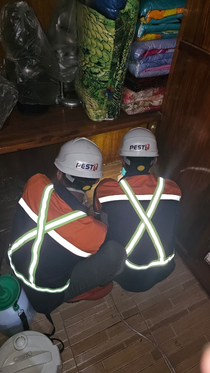 Pengecekan Rayap Residensial